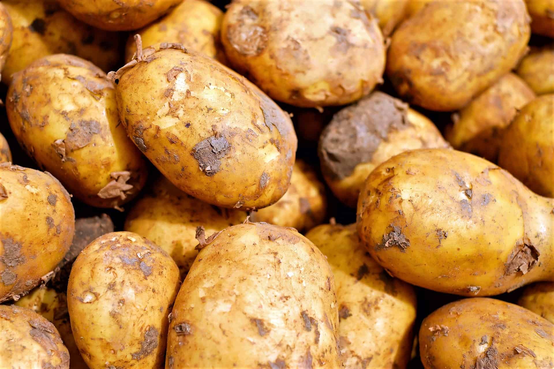 Kartoffel-eine gesunde Knolle-Titel - Er&Ge