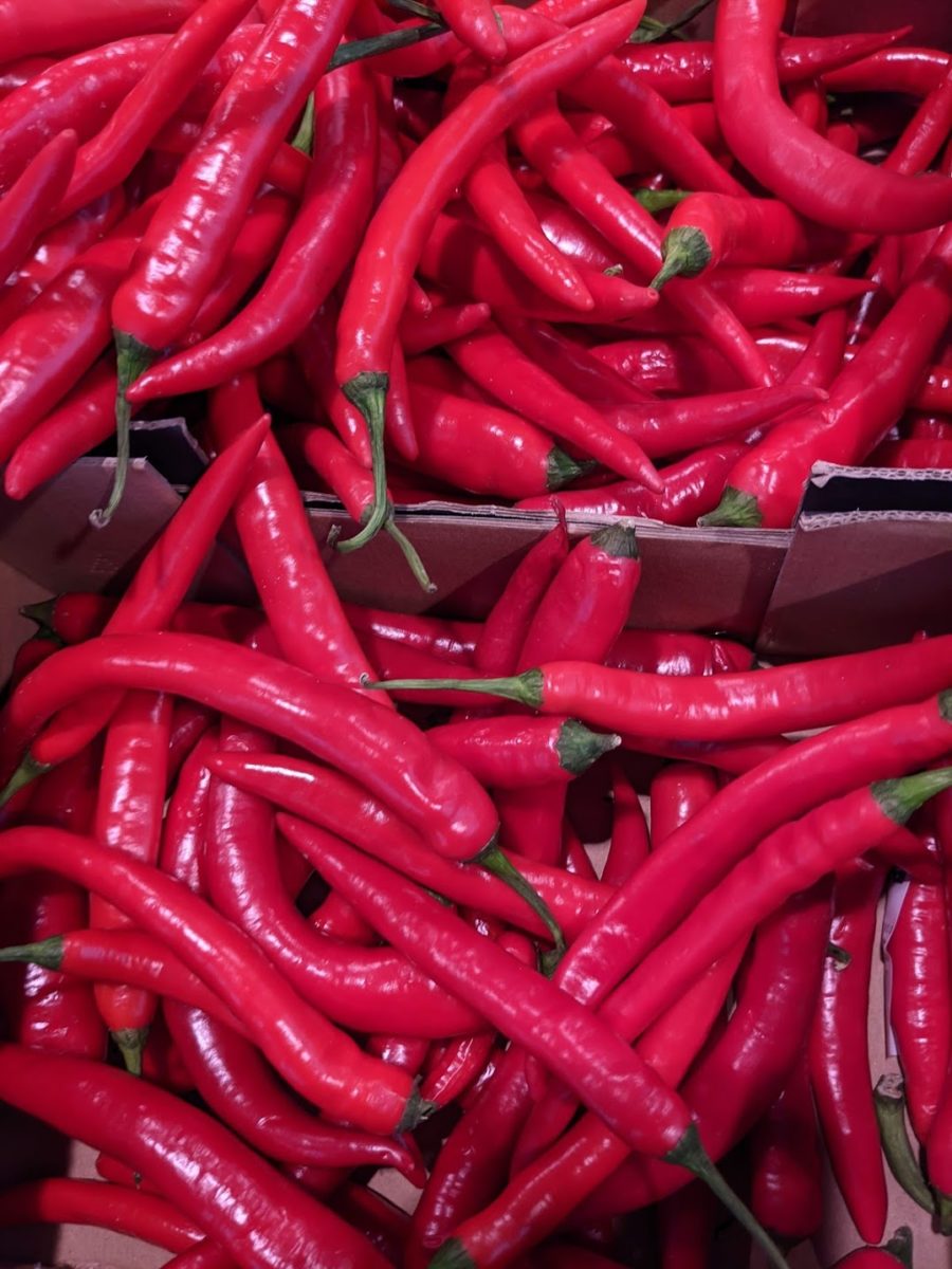 Paprika - die gesunde Schote-Chili im Handel- BellsWelt