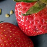 Erdbeeren – leckere Heilpflanzen - Titel - BellsWelt