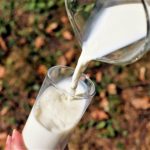 Milch – gesund oder ungesund - Titel- BellsWelt