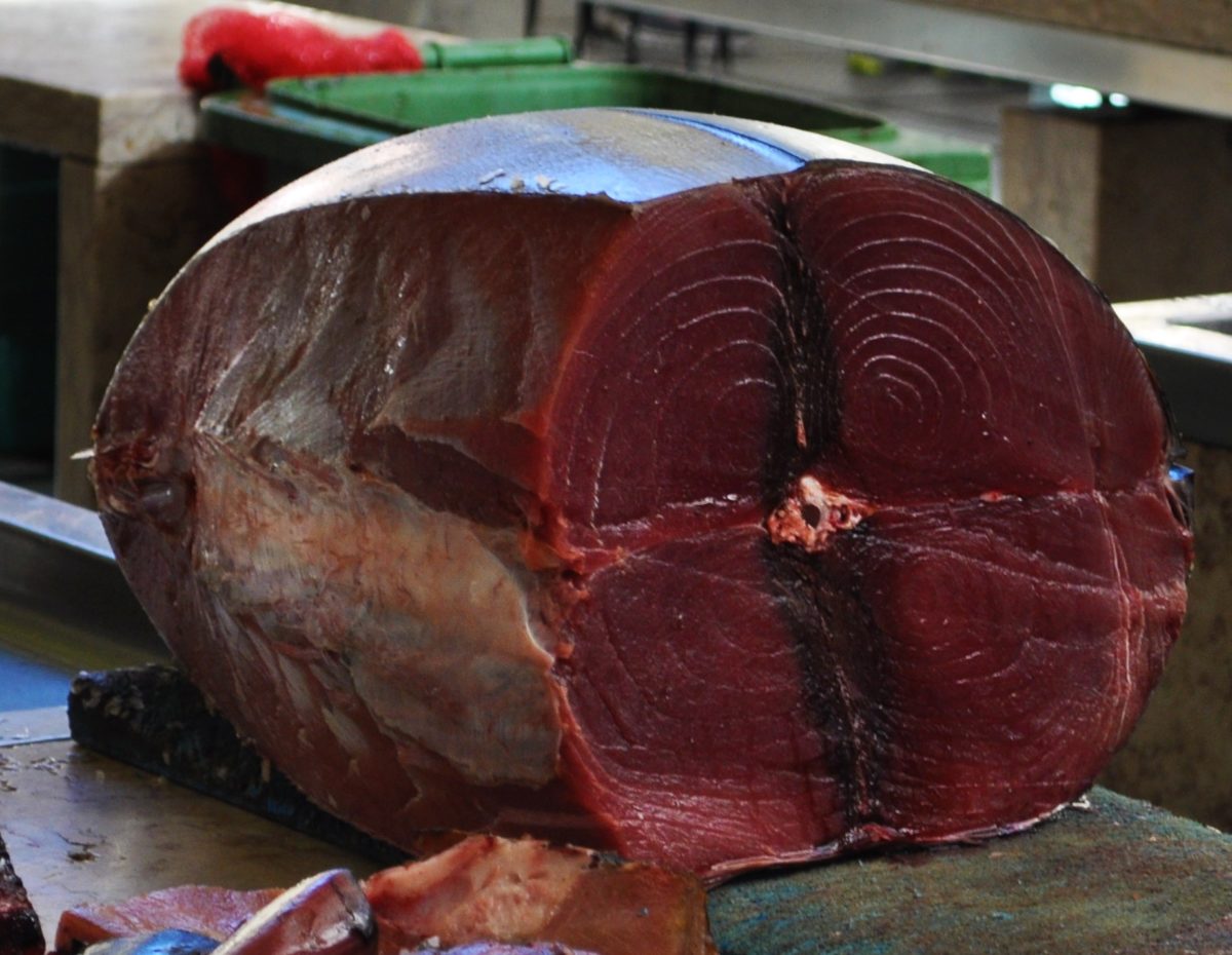 Thunfisch – gesund oder ungesund - Thunfisch im Mercado dos Lavradores, Funchal, Madeira - BellsWelt