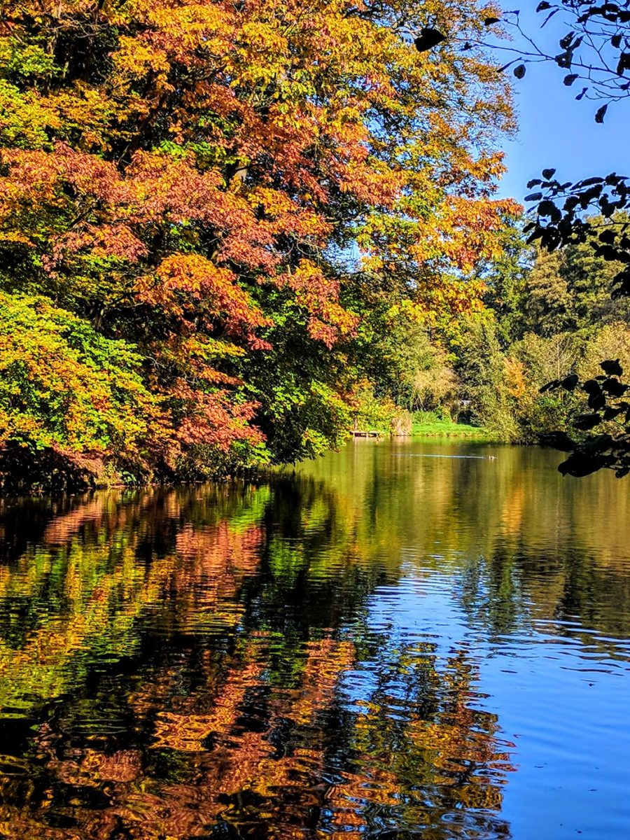 Farbenpsychologie – Bedeutung und Wirkung - Herbstfarben- BellsWelt