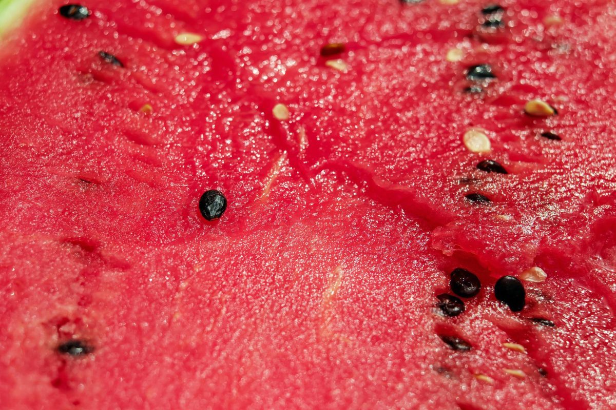 Wassermelonen – erfrischend und gesund - Halbierte Wassermelone - BellsWelt