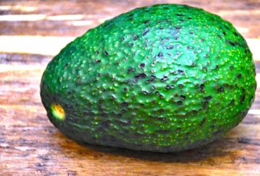 Avocado – gesund und lecker - Titel - BellsWelt