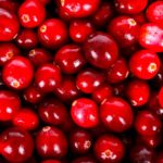 Cranberrys - die kleinen Powerfrüchte - Titel - BellsWelt