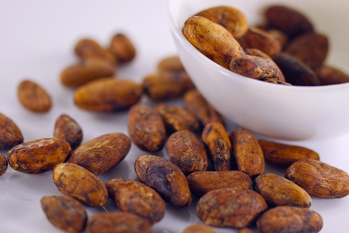 Krebsvorbeugung durch natürliche Ernährung - Kakaobohnen - BellsWelt