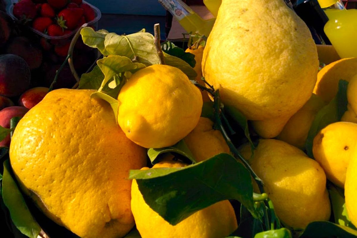 Krebsvorbeugung durch natürliche Ernährung - Zitronen - BellsWelt